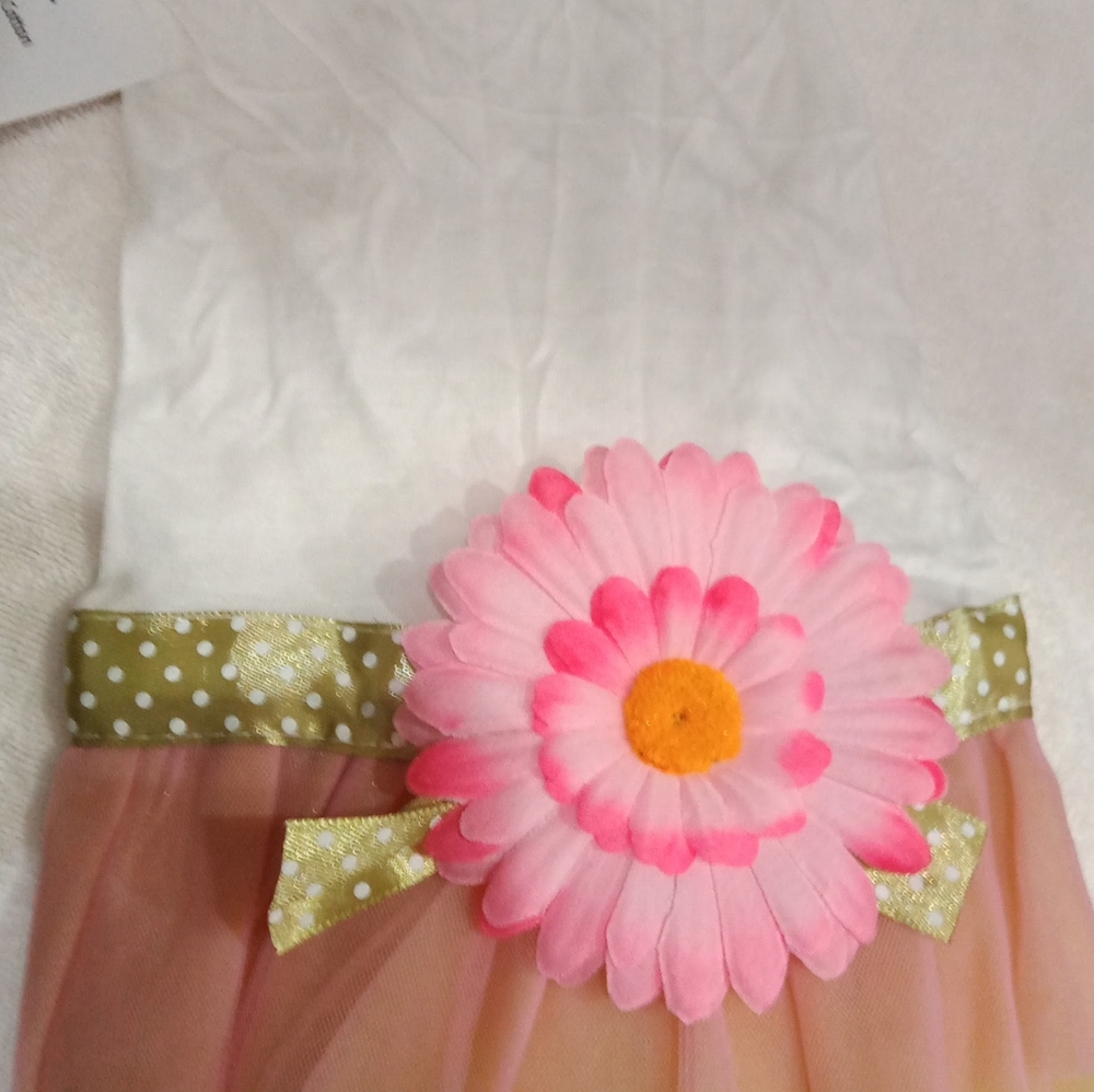 Pet Dress